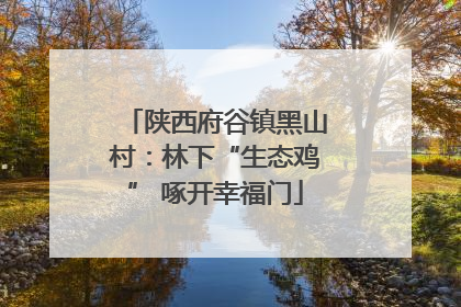 陕西府谷镇黑山村：林下“生态鸡” 啄开幸福门